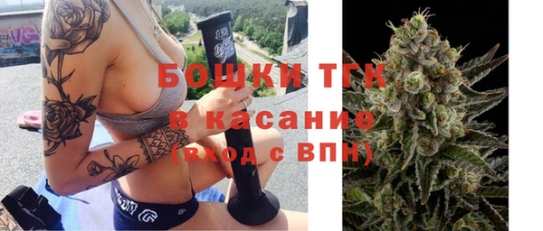 PSILOCYBIN Кулебаки