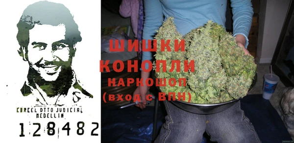 PSILOCYBIN Кулебаки