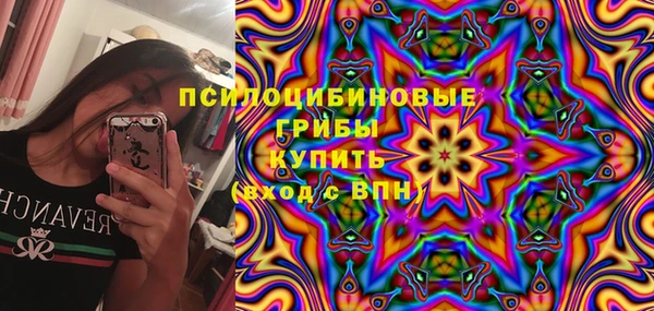 гашик Кукмор