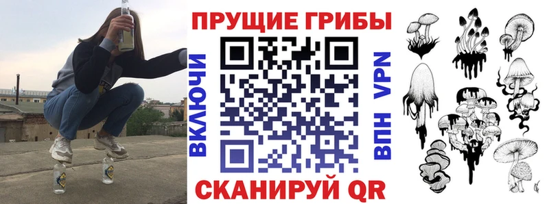 Галлюциногенные грибы прущие грибы  Купить закладки  Осинники 
